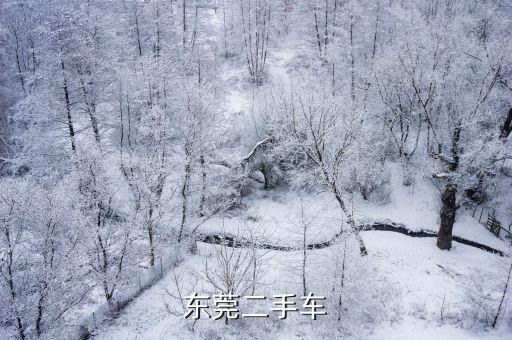 東莞二手車