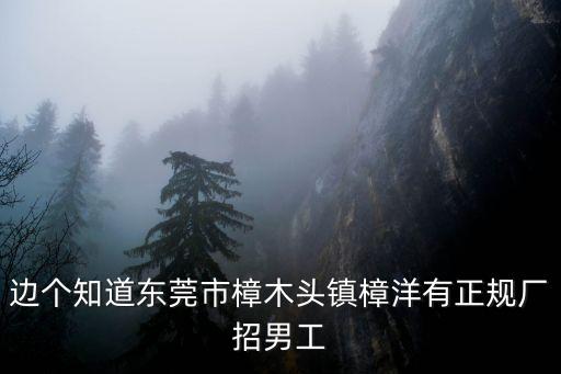 邊個知道東莞市樟木頭鎮樟洋有正規廠招男工