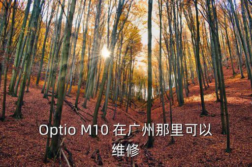 Optio M10 在廣州那里可以維修