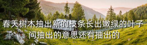春天樹木抽出新的枝條長出嫩綠的葉子 問抽出的意思還有抽出的