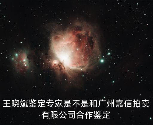 王曉斌鑒定專家是不是和廣州嘉信拍賣有限公司合作鑒定
