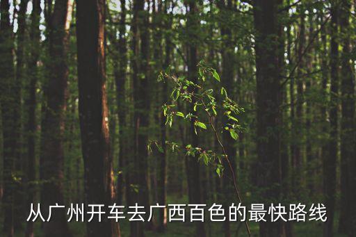 廣州到百色路費，廣州到廣西百色開車要多少錢過橋費一路走高速