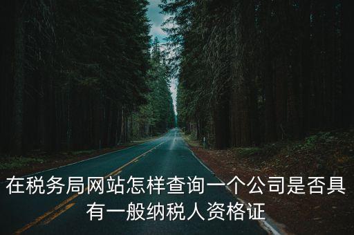 在稅務局網站怎樣查詢一個公司是否具有一般納稅人資格證