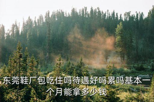 東莞鞋廠包吃住嗎待遇好嗎累嗎基本一個月能拿多少錢