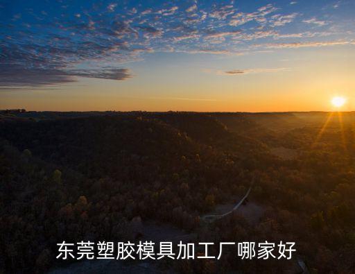 東莞塑膠模具加工廠哪家好