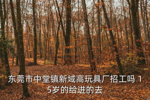 東莞市中堂鎮(zhèn)新域高玩具廠招工嗎 15歲的給進(jìn)的去