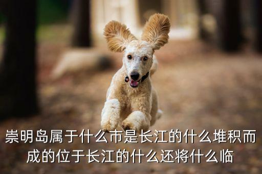 崇明島屬于什么市是長江的什么堆積而成的位于長江的什么還將什么臨