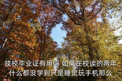 東莞市技師學院畢業證有用嗎，自己找的技校拿到的文憑有用嗎