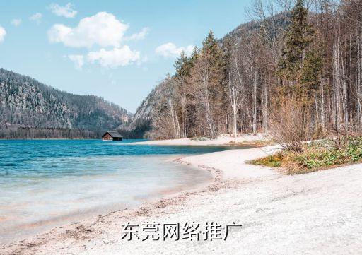 東莞網絡推廣