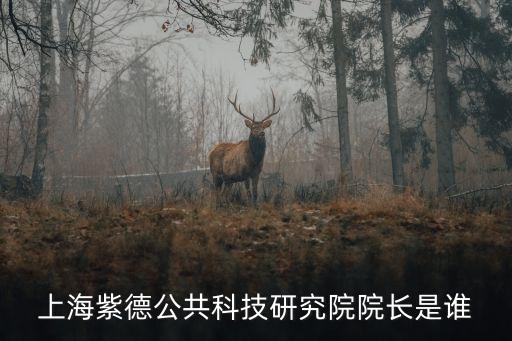 上海紫德公共科技研究院院長是誰