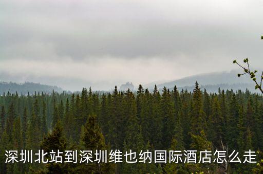 深圳北站到深圳維也納國際酒店怎么走
