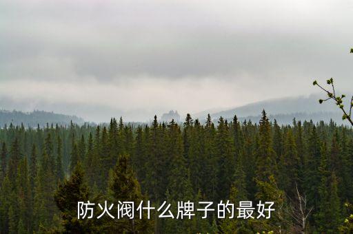 防火閥什么牌子的最好