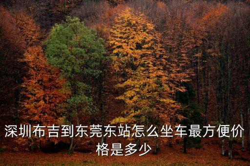 深圳布吉到東莞東站怎么坐車最方便價格是多少
