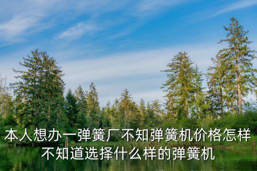 本人想辦一彈簧廠不知彈簧機價格怎樣不知道選擇什么樣的彈簧機