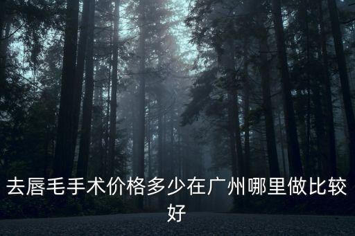 去唇毛手術價格多少在廣州哪里做比較好