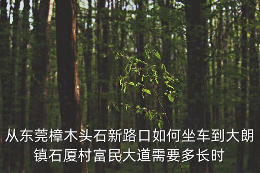 從東莞樟木頭石新路口如何坐車到大朗鎮石廈村富民大道需要多長時