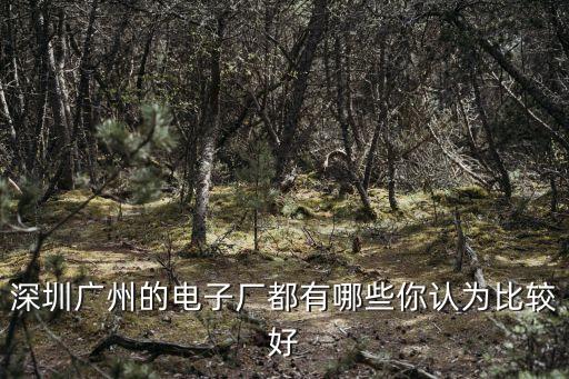 深圳廣州的電子廠都有哪些你認為比較好