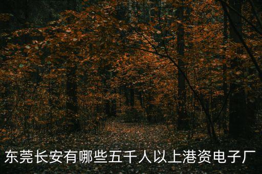 東莞長安有哪些五千人以上港資電子廠