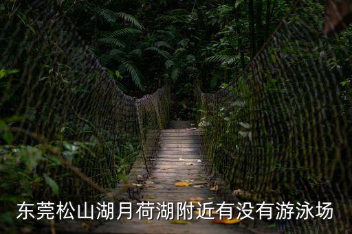 東莞月荷湖全景圖，廣東東莞市一地方