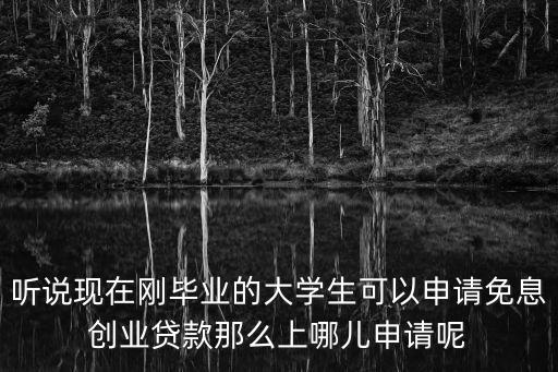 聽說現(xiàn)在剛畢業(yè)的大學(xué)生可以申請免息創(chuàng)業(yè)貸款那么上哪兒申請呢