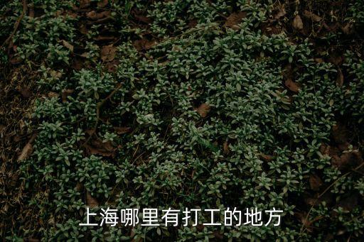 上海哪里有打工的地方