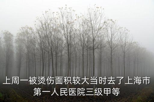 上周一被燙傷面積較大當(dāng)時去了上海市第一人民醫(yī)院三級甲等