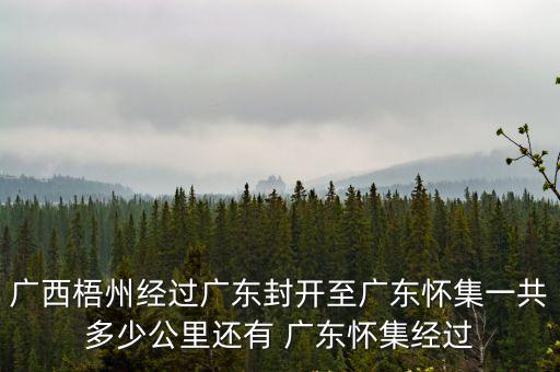 廣西梧州經(jīng)過廣東封開至廣東懷集一共多少公里還有 廣東懷集經(jīng)過