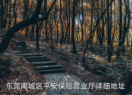 東莞南城區平安保險營業廳詳細地址