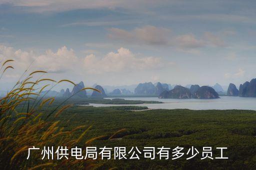 廣州供電局有限公司有多少員工