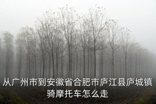 從廣州市到安徽省合肥市廬江縣廬城鎮騎摩托車怎么走