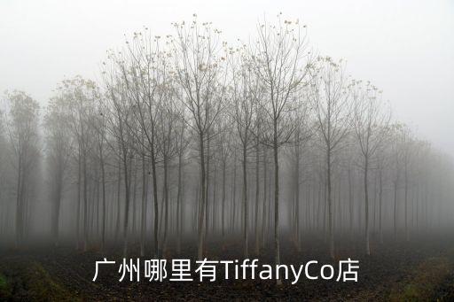 廣州哪里有TiffanyCo店