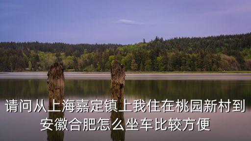 請問從上海嘉定鎮上我住在桃園新村到安徽合肥怎么坐車比較方便