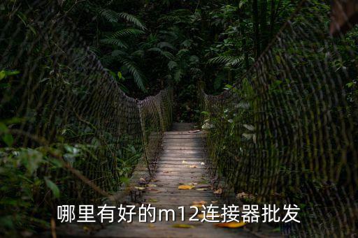 廣州連接器公司，廣州有RJ45 連接器廠家嗎要廠家自主開發模具