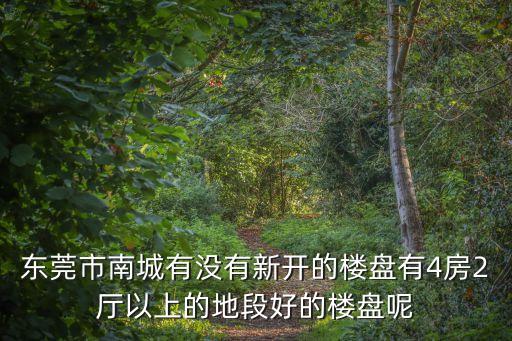 東莞南城房?jī)r(jià)開(kāi)盤，東莞市南城有沒(méi)有新開(kāi)的樓盤有4房2廳以上的地段好的樓盤呢