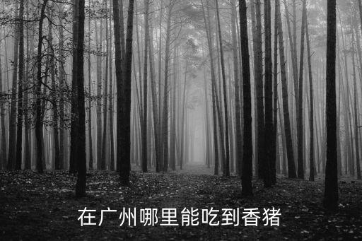 在廣州哪里能吃到香豬