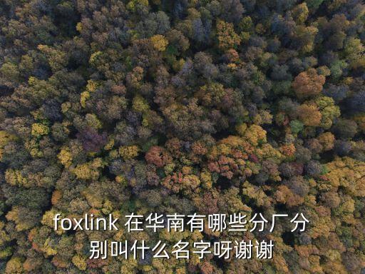 foxlink 在華南有哪些分廠分別叫什么名字呀謝謝