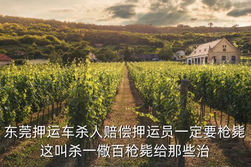 東莞押運(yùn)車殺人賠償押運(yùn)員一定要槍斃這叫殺一儆百槍斃給那些治