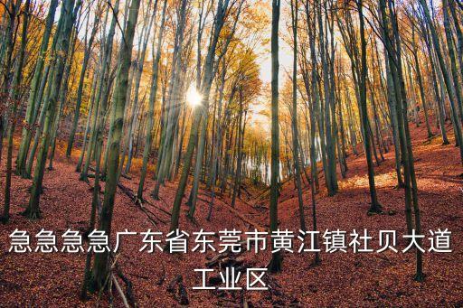 東莞市黃江鎮拆除違建，急急急急廣東省東莞市黃江鎮社貝大道工業區