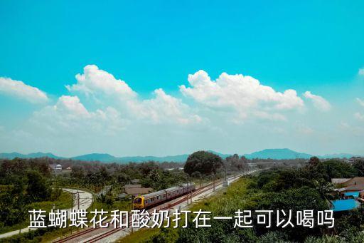 藍(lán)蝴蝶花和酸奶打在一起可以喝嗎