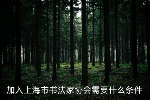怎么樣進(jìn)入上海市書法家協(xié)會，怎樣加入書法協(xié)會