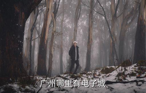 廣州的電子城在哪里，廣州哪里有電子城