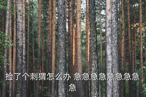 東莞植物園撿到刺猬怎么辦，撿了個刺猬怎么辦 急急急急急急急急急