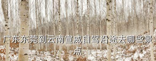 東莞自駕游到云南路線，自駕游廣東至云南線路如何安排有很充足的時間請詳細說下途中可