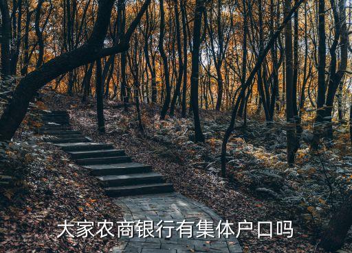 大家農(nóng)商銀行有集體戶口嗎
