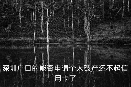 深圳戶口的能否申請個人破產還不起信用卡了