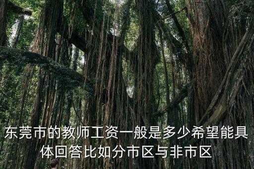東莞市的教師工資一般是多少希望能具體回答比如分市區與非市區