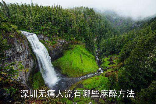 深圳方法的特點有，深圳韓式隆鼻技術特點有哪些