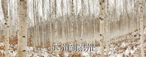 廣州到泰州