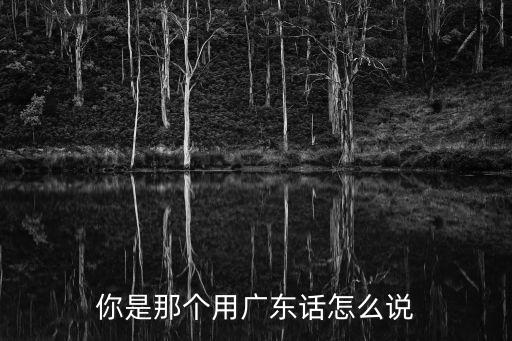 廣州話那個，廣東話叫什么話