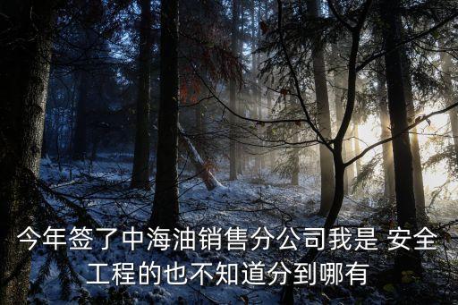 今年簽了中海油銷售分公司我是 安全工程的也不知道分到哪有
